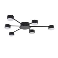 Потолочная люстра Lumion Comfi Torina 8344/6C