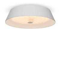 Потолочный светильник Freya Cells FR10013CL-L24W