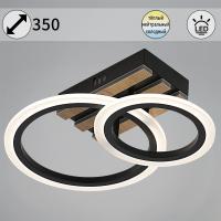 Потолочный светильник Reluce 00330-0.3-1+1