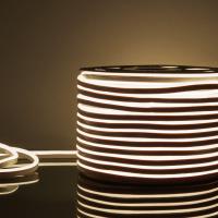 Гибкий неон Elektrostandard 9,6W/m 120LED/m 2835SMD дневной белый 50M