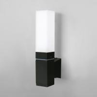 Уличный настенный светодиодный светильник Elektrostandard 1534 Techno Led черный