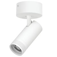 Накладной светильник 20-55G с адаптером Lightstar Canno Pro C4206SO