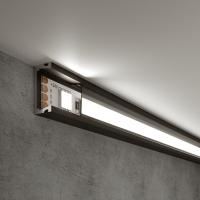 Профиль алюминиевый с рассеивателем Elektrostandard LL-2-ALP006 черный