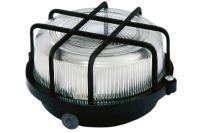 Настенно-потолочный светильник TDM Electric НПП 03-100-005.04 SQ0311-0002