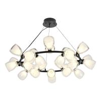 Подвесная люстра Lussole Inglewood LSP-6065