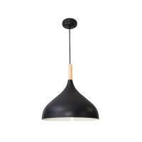 Подвесной светильник Arte Lamp Kayla A7101SP-1BK