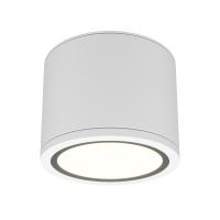 Накладной светильник Maytoni Rendo C095CL-GX53-W