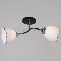 Потолочный светильник Reluce 79360-0.3-02 BK+CR