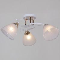 Потолочный светильник Reluce 64460-0.3-03 WH+FG