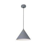 Подвесной светильник Arte Lamp Lark A7103SP-1GY