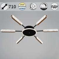 Потолочная люстра Reluce 08290-0.3-06 BK+GD