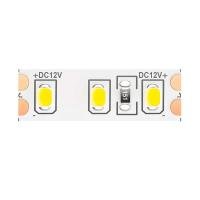 Светодиодная влагозащищенная лента Maytoni Technical 9,6W/m 120LED/m 2835SMD холодный белый 5M 10113