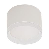 Накладной светильник Reluce 53004-9.5-001LD GX53 WT