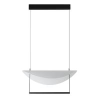 Подвесной светильник Odeon Light Glider 7015/20L