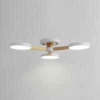 Потолочная люстра ImperiumLoft Turna 102157-26