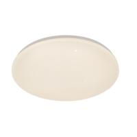 Потолочный светильник Escada 10213/SG LED