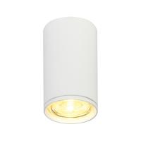 Потолочный светильник 20001 20001SMU/01 SWH