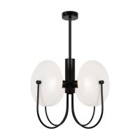 Потолочный светильник Freya Ellipse FR5320PL-04B