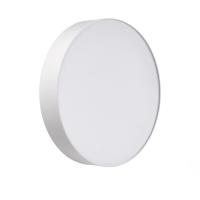 Настенно-потолочный светильник Sonex Basica Optima 7779/DLN