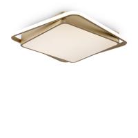 Потолочная люстра Freya Yaku FR10026CL-L93G