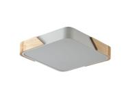 Потолочный светильник Zortes Alberro ZRS.01285.48