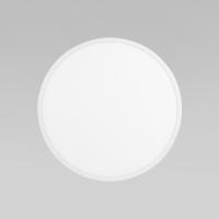 Потолочный светильник TK Lighting 18797 Aqua a068413