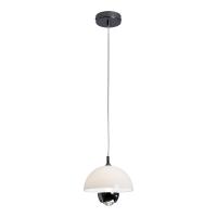 Подвесной светильник Lussole Poughkeepsie LSP-7524