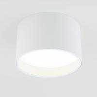 Потолочный светодиодный светильник Elektrostandard 25123/Led Banti 13Вт 4200K a058846 белый