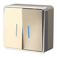 Выключатель двухклавишный с подсветкой Gallant шампань рифленый WL15-03-03 Werkel