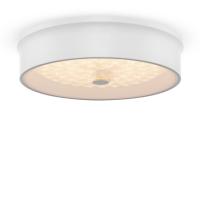 Потолочный светильник Freya Cells FR10011CL-L24W