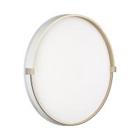 Настенно-потолочный светильник Sonex Pale Olidi White 7646/DLN