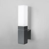 Уличный настенный светодиодный светильник Elektrostandard 1534 Techno Led серый