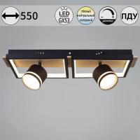 Потолочный светильник Reluce 19560-0.3-2+2 BK+WOOD