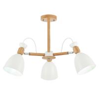 Потолочный светильник EVOLUCE BALCAMO SLE103802-03