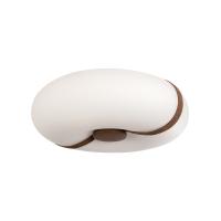 Потолочный светильник LOFT IT Bolina 10473