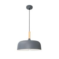 Подвесной светильник Arte Lamp Kayla A7102SP-1GY