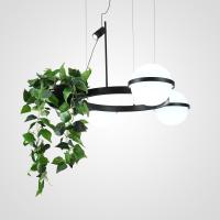 Подвесная люстра ImperiumLoft Palma 248666-01