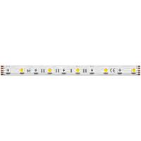 Светодиодная лента Maytoni Led Strip 24В 5050 14,4Вт/м 4000К 5м IP20 201133
