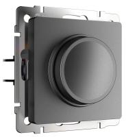 Диммер (графит матовый) W1142064 Werkel