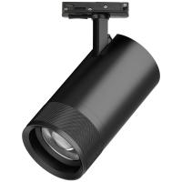 Трековый светильник для однофазного/трехфазного шинопровода Barra 20-55G с тонким адаптером Lightstar Canno Pro C4407SS