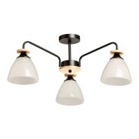 Люстра на штанге De Markt Дэла 635018003