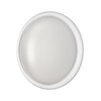 Настенно-потолочный светильник Sonex Pale Jolly 7776/DLN