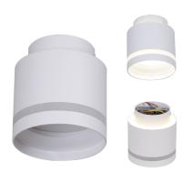 Накладной светильник Reluce 53001-9.5-001IL GX53+LED3W WT