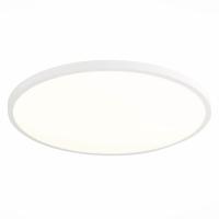 Настенно-потолочный светильник ST Luce ST601.542.48