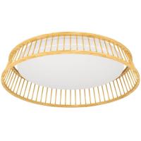 Потолочный светильник Eglo Luppineria 900797