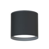 Уличный потолочный светильник Favourite Fantum 4663-1U