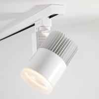 Трековый светодиодный светильник Elektrostandard Accord 30W 4200K