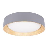 Потолочный светодиодный светильник Loft IT Coin 10202 Grey