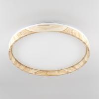 Потолочный светильник Citilux Enzo CL753452G