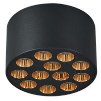 Потолочный светильник Lightstar Guarda 080942